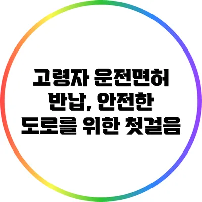 고령자 운전면허 반납, 안전한 도로를 위한 첫걸음