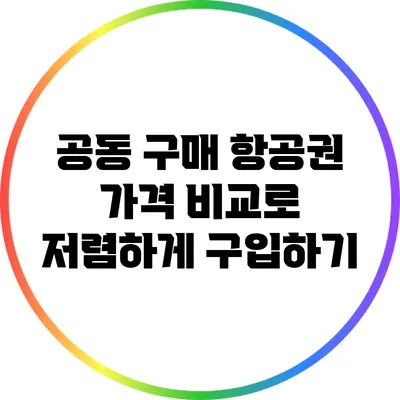 공동 구매 항공권 가격 비교로 저렴하게 구입하기