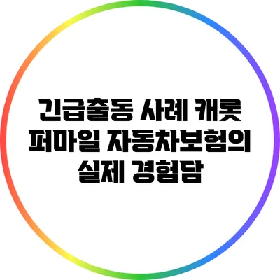 긴급출동 사례: 캐롯 퍼마일 자동차보험의 실제 경험담