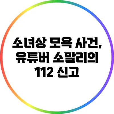 소녀상 모욕 사건, 유튜버 소말리의 112 신고