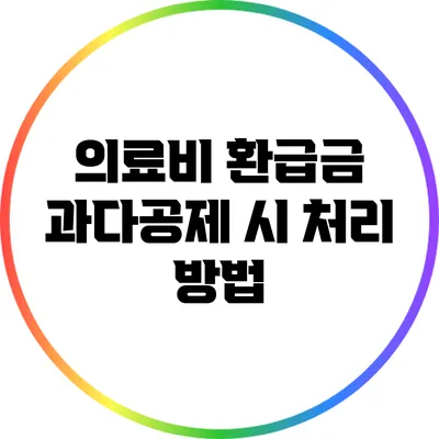 의료비 환급금 과다공제 시 처리 방법