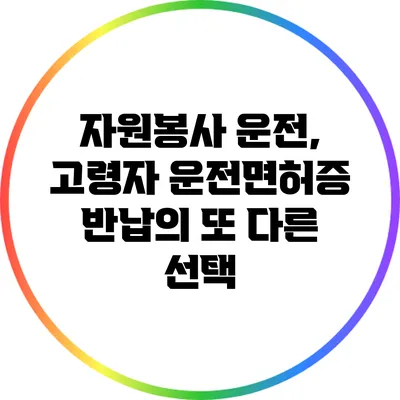 자원봉사 운전, 고령자 운전면허증 반납의 또 다른 선택