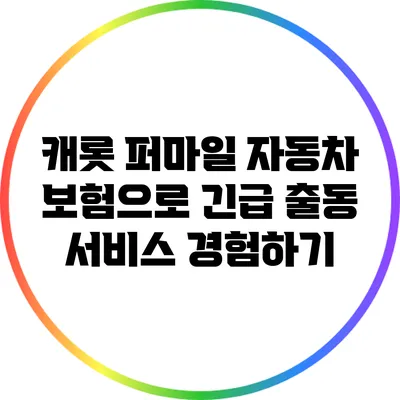 캐롯 퍼마일 자동차 보험으로 긴급 출동 서비스 경험하기