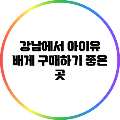 강남에서 아이유 배게 구매하기 좋은 곳