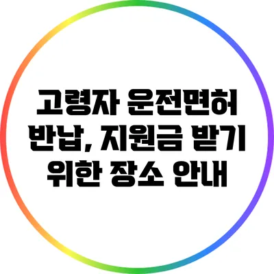 고령자 운전면허 반납, 지원금 받기 위한 장소 안내