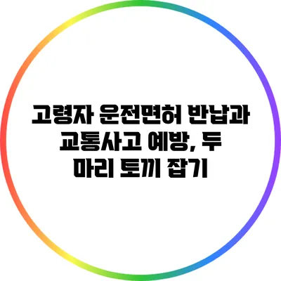 고령자 운전면허 반납과 교통사고 예방, 두 마리 토끼 잡기