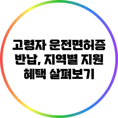 고령자 운전면허증 반납, 지역별 지원 혜택 살펴보기