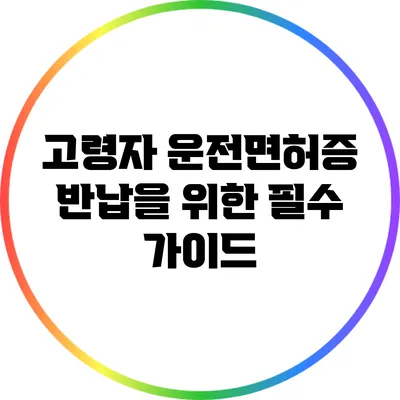 고령자 운전면허증 반납을 위한 필수 가이드