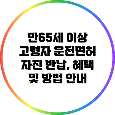 만65세 이상 고령자 운전면허 자진 반납, 혜택 및 방법 안내