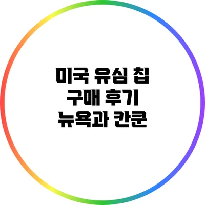 미국 유심 칩 구매 후기: 뉴욕과 칸쿤