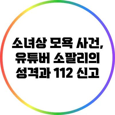 소녀상 모욕 사건, 유튜버 소말리의 성격과 112 신고