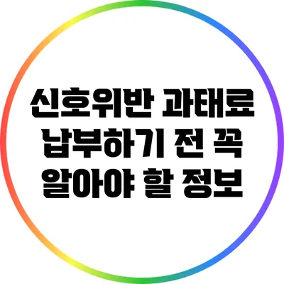 신호위반 과태료 납부하기 전 꼭 알아야 할 정보