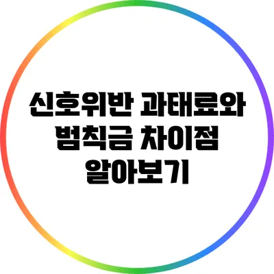 신호위반 과태료와 범칙금 차이점 알아보기