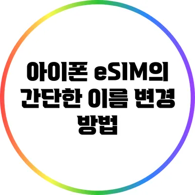 아이폰 eSIM의 간단한 이름 변경 방법