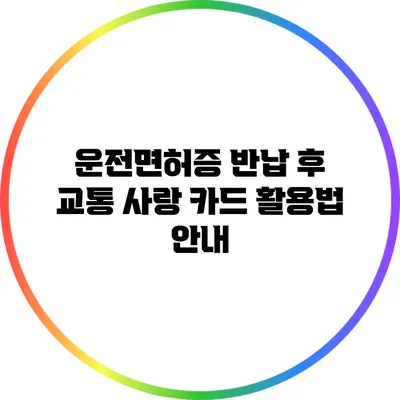 운전면허증 반납 후 교통 사랑 카드 활용법 안내