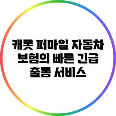 캐롯 퍼마일 자동차 보험의 빠른 긴급 출동 서비스