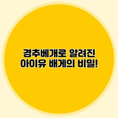 경추베개로 알려진 아이유 배게의 비밀!