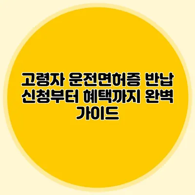 고령자 운전면허증 반납: 신청부터 혜택까지 완벽 가이드