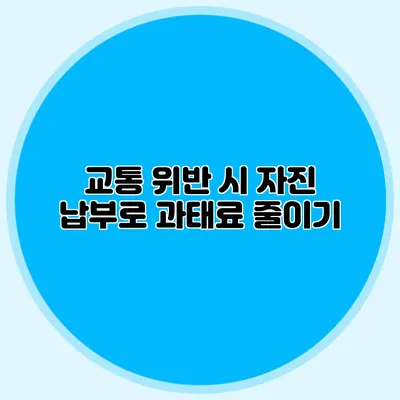 교통 위반 시 자진 납부로 과태료 줄이기