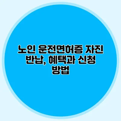 노인 운전면허증 자진 반납, 혜택과 신청 방법