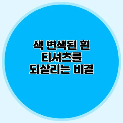 색 변색된 흰 티셔츠를 되살리는 비결