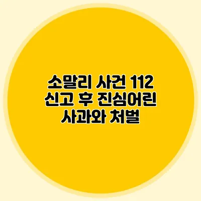 소말리 사건: 112 신고 후 진심어린 사과와 처벌