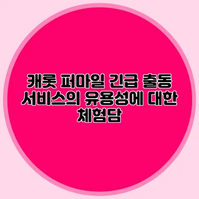 캐롯 퍼마일 긴급 출동 서비스의 유용성에 대한 체험담