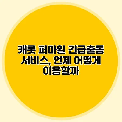 캐롯 퍼마일 긴급출동 서비스, 언제 어떻게 이용할까?