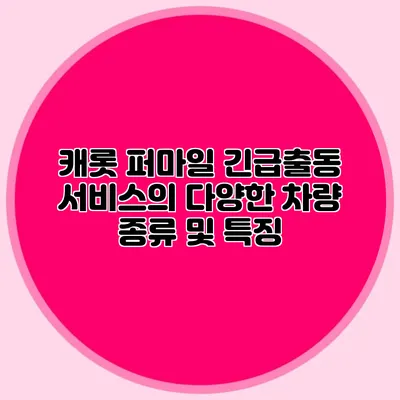 캐롯 퍼마일 긴급출동 서비스의 다양한 차량 종류 및 특징